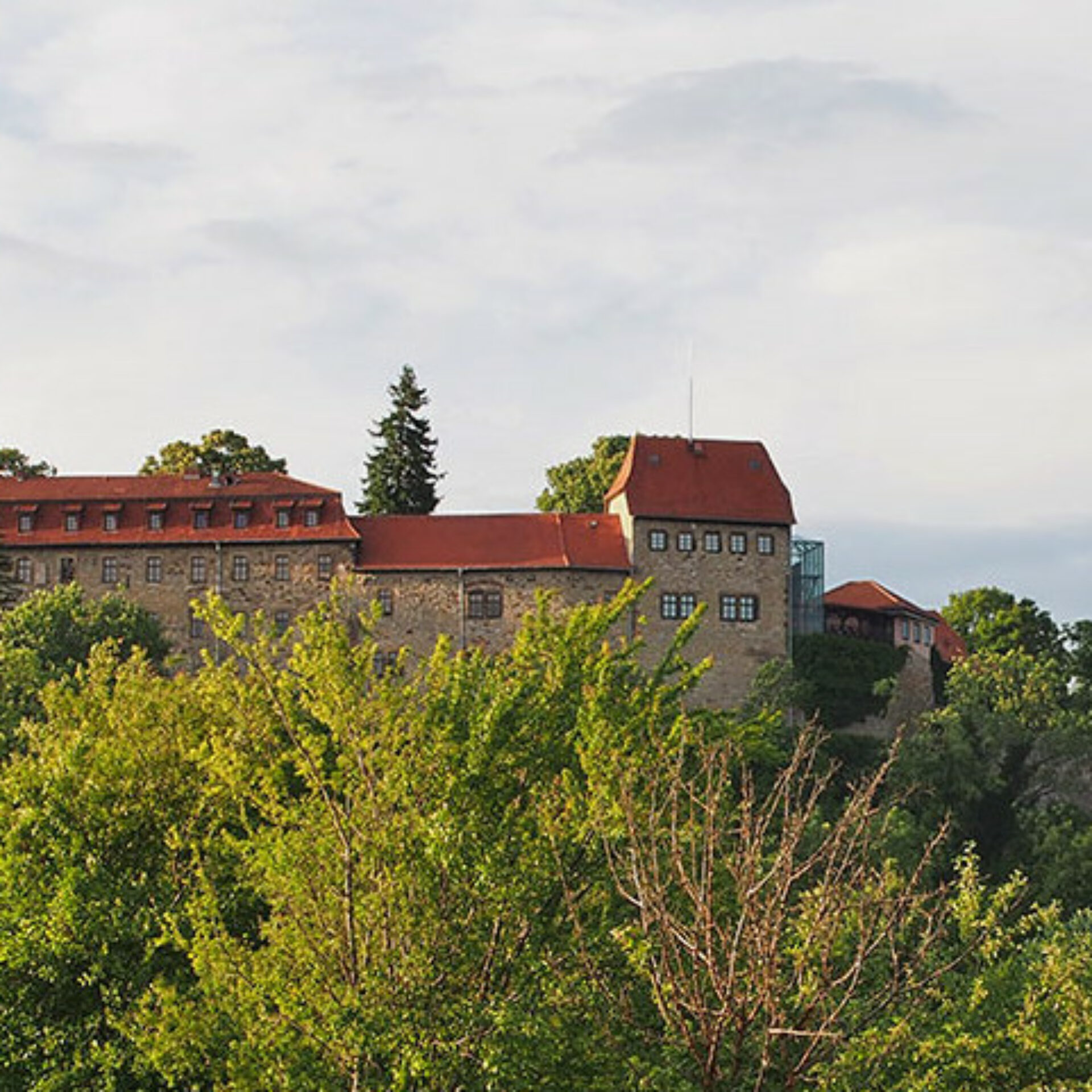 Burg Creuzburg von der Werraaue