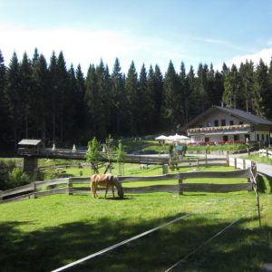 Werraquell-Hütte Fehrenbach @ Werratal Touristik e. V.